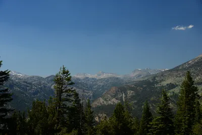 DSC_0257 (Large).JPG